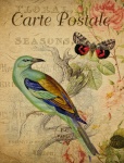 Postal floral francesa del pájaro