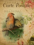 Postal floral vintage de pájaro