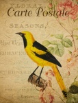 Cartolina floreale vintage di uccelli