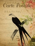 Madár Vintage virágos képeslap