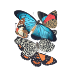 Vintage vlinders