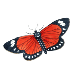 Бабочка, мотылек винтажное искусство