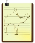 Camello Animal Naturaleza Dibujo