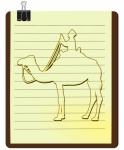Hombre camello rezando animal musulmán