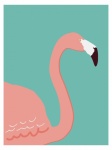Flamingo-affisch