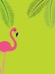 Tropisk sommarbakgrund för Flamingo