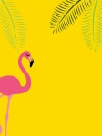 Tropisk sommarbakgrund för Flamingo