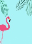 Flamingo tropische zomer achtergrond