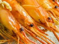 Fresh Cooked Shrimp Background Seafood