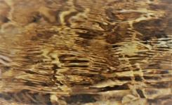 Gold water ripples backdrop