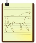 Horse animal nature unicorn drawing