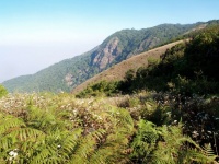 Mountain, doi inthanon national park