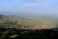 Nature of Phu Rua mountain