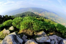 Nature of Phu Rua mountain