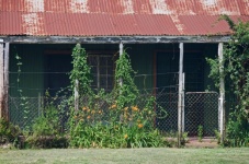Old corrugated iron house