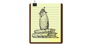 Owl Animal nature wildlife drawing