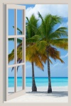 Palmträd Tropisk Strand