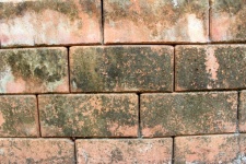 Pattern Stone Wall Surface