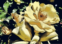 Pop-Art abstrakte Rose