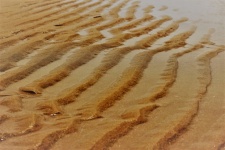 Ripples in sand on a beach