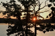 Sunset at Lake Through The Trees