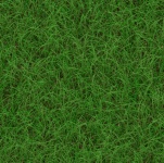 Текстура травы 1