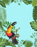 Toucan tropische bladeren Frame