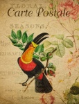 Tukanowa pocztówka z motywem kwiatowym