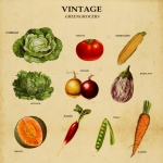 Vintage de verduras