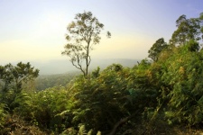 Viewpoint Laan Hin Pum At Phu Hin Rong