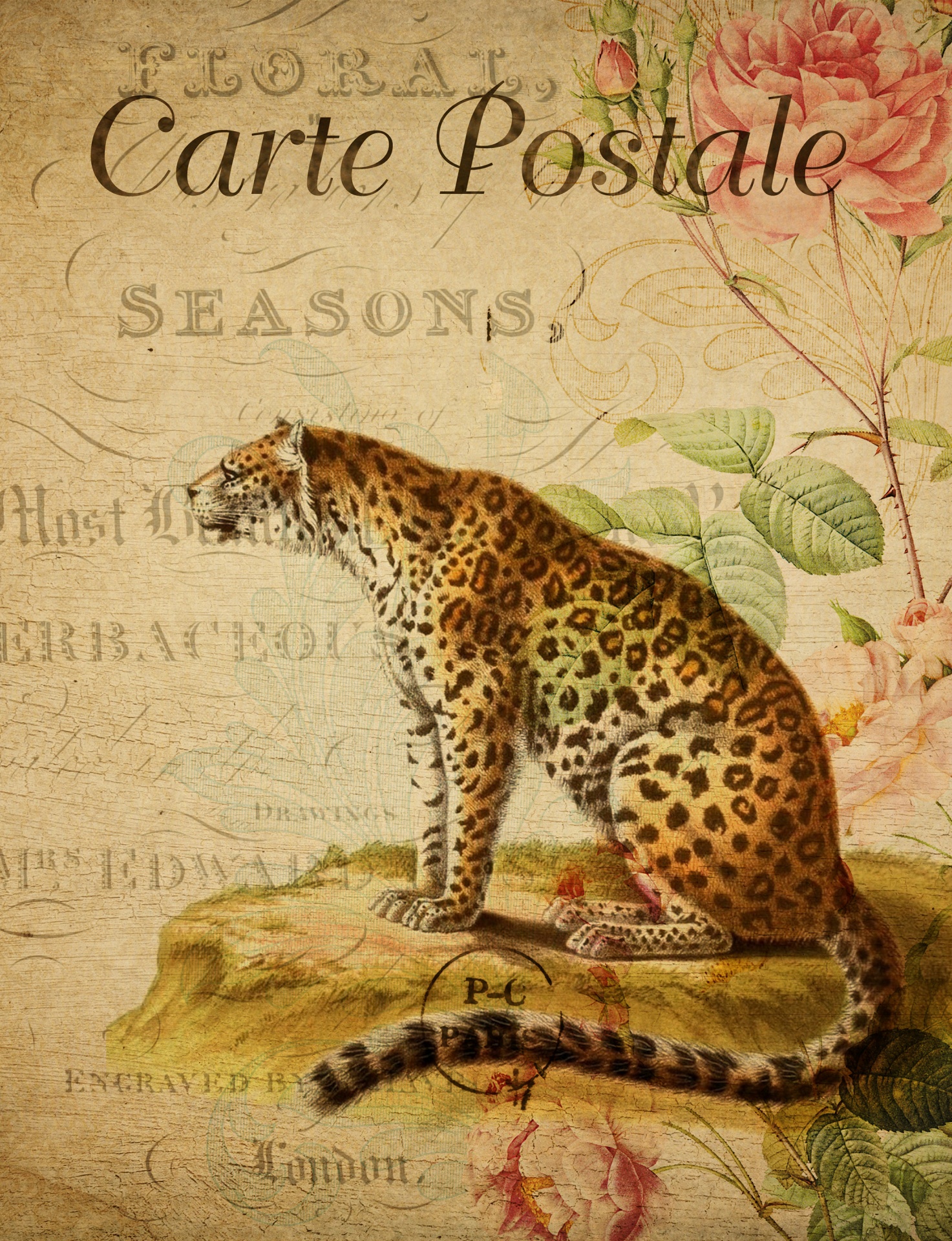 Leopard Vintage květinové pohlednice