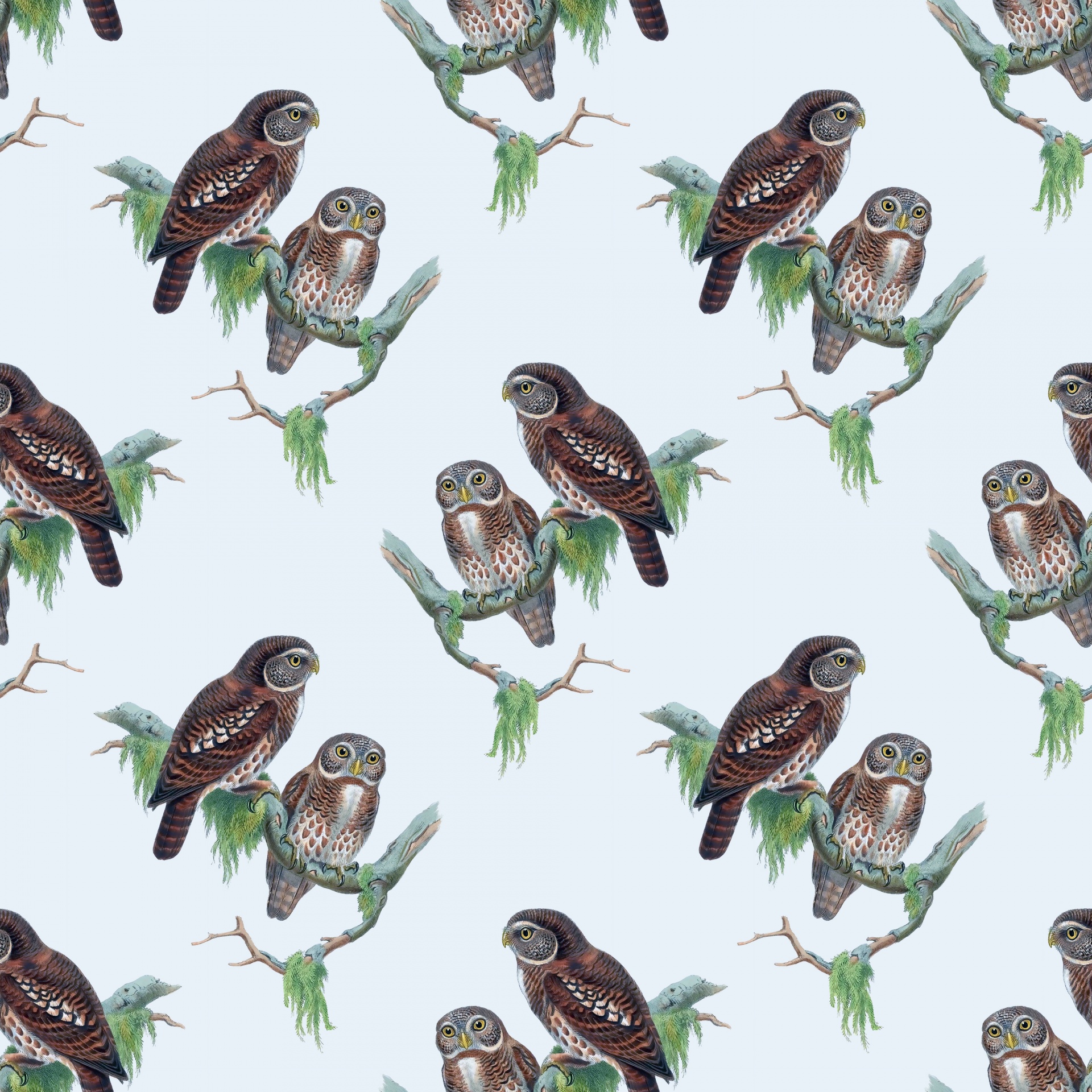 owls-vintage-wallpaper-background-free-stock-photo-public-domain-pictures