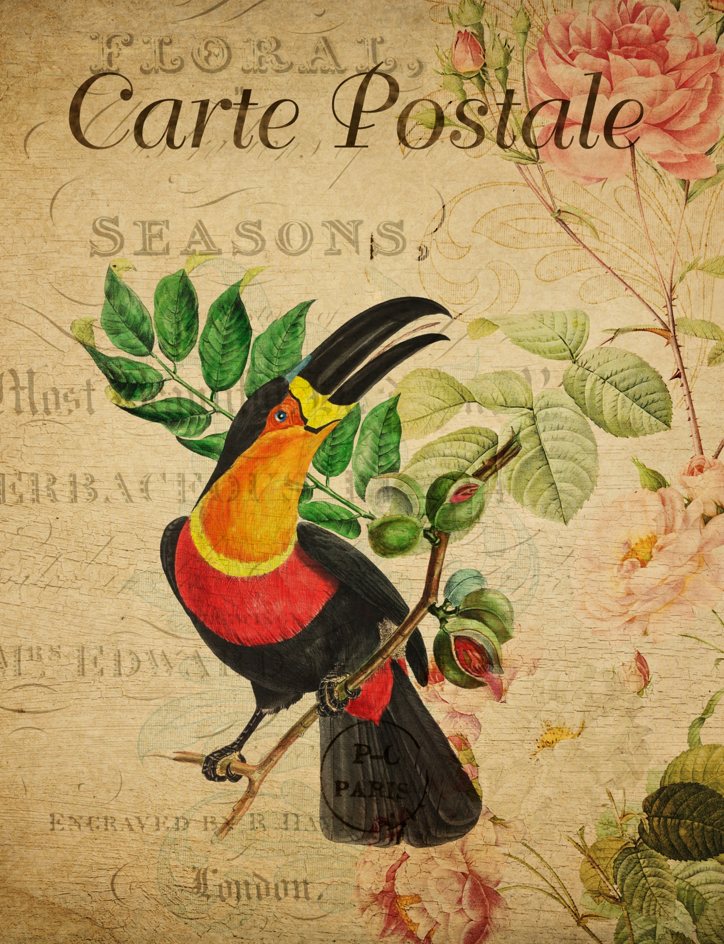 Cartolina floreale vintage Tucano