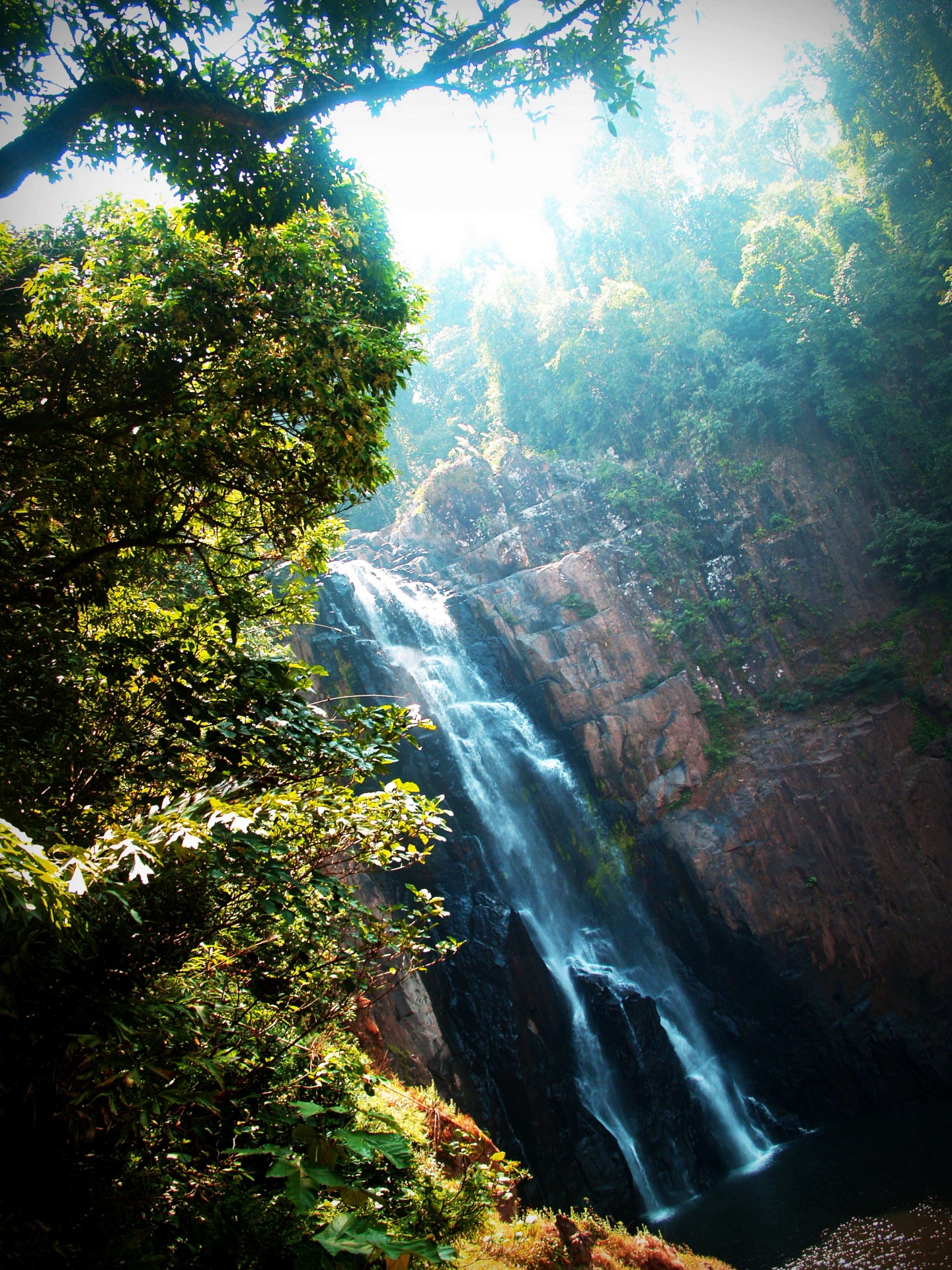 Water Fall Of Khao Yai National Park  Free Stock Photo 