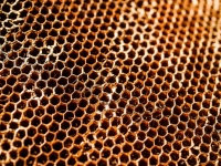 Fundo de favo de mel colmeia de abelha