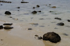 Fekete sziklák a homokos strandon