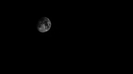 Lune Noire