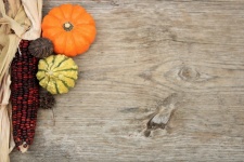 Fall Harvest Background