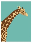 Plakat żyrafa