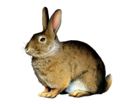 Кролик пасхальный винтажный арт
