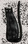 Zwarte kat abstracte kunst