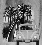 VW Beetle Travel Poster