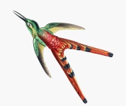 Arte vintage de pássaro de beija-flor
