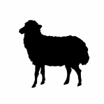 Silhouette d'agneau