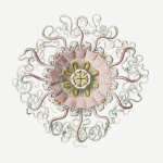 Arte vintage de medusas marítimas