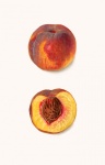 Vintage de frutas de pêssego
