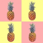 Pineapples On Quad Background