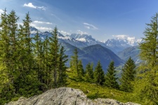 Alpi Elvețiene