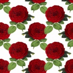 Fondo de pantalla de rosas vintage