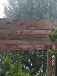 Wooden Structure With Creeper